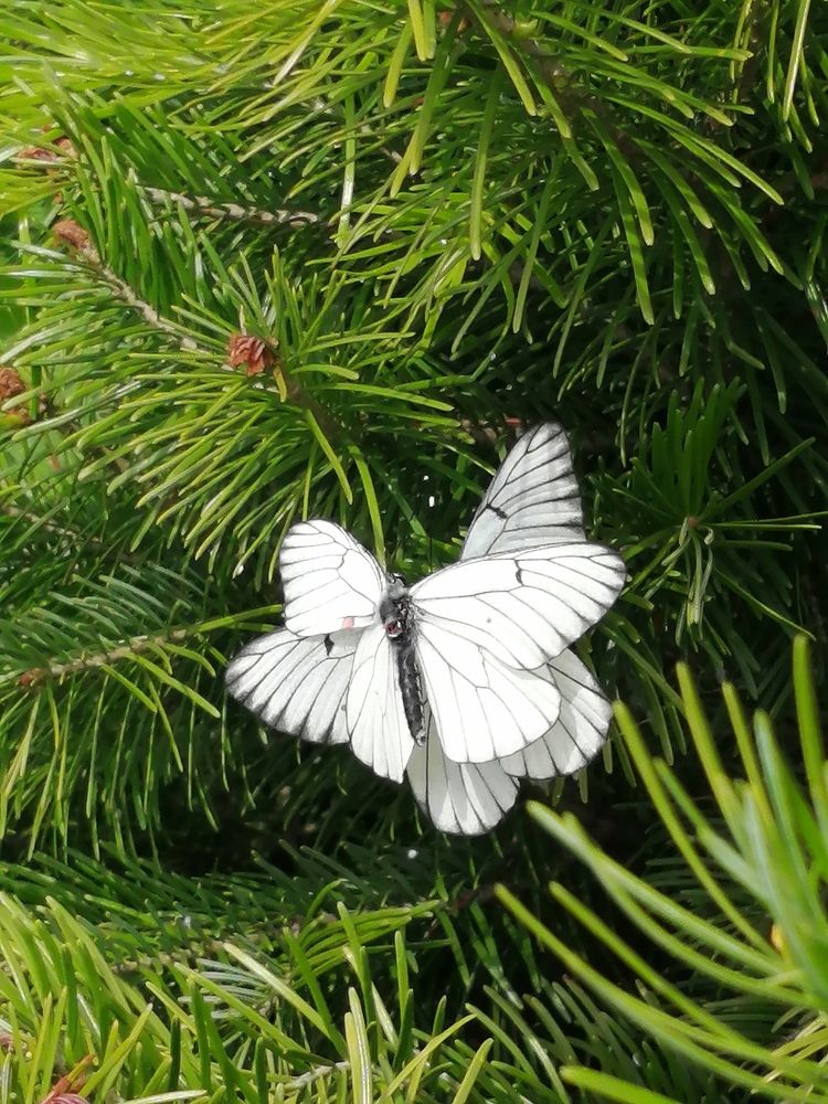 Photograph by Татьяна