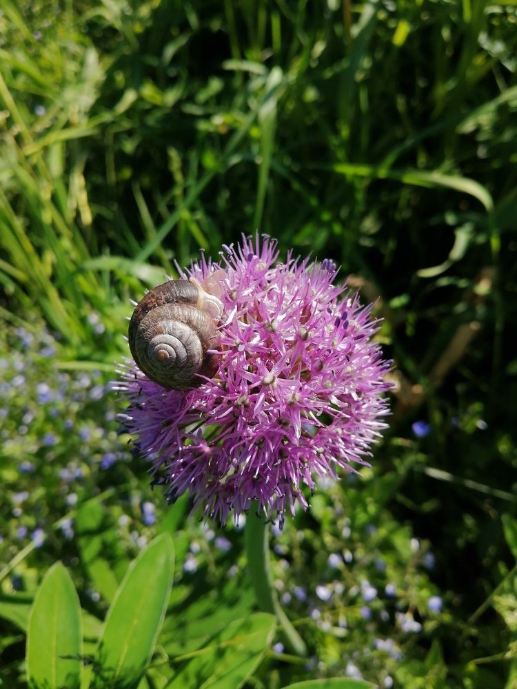 Photograph by Татьяна