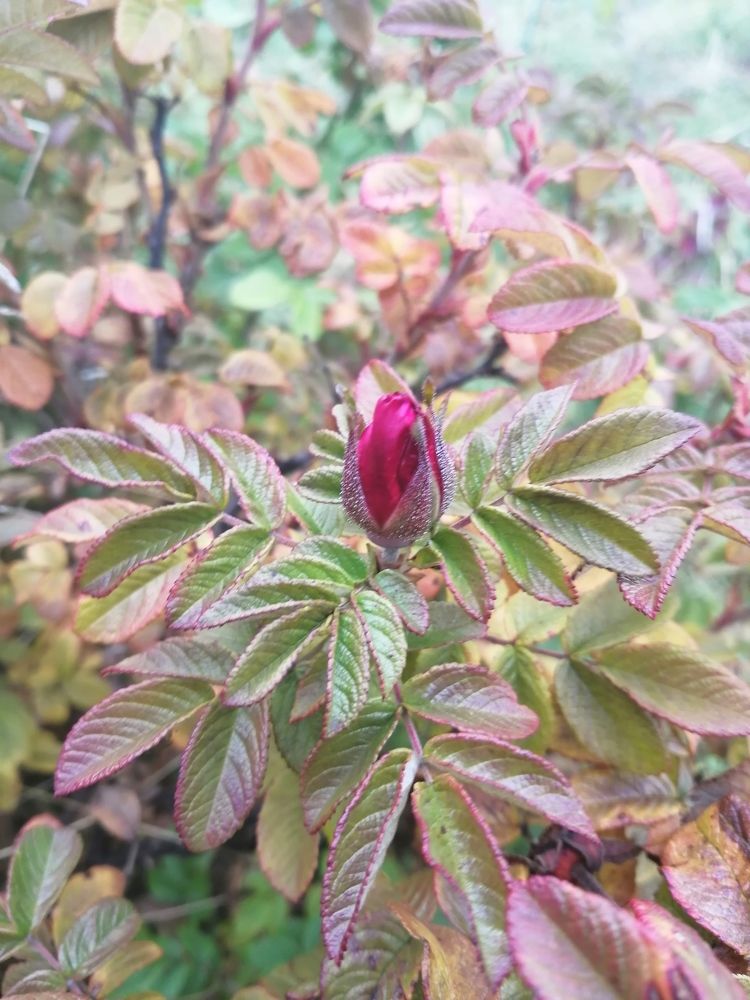 Photograph by Татьяна