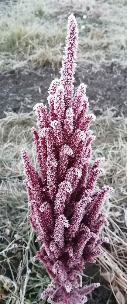 Photograph by Татьяна