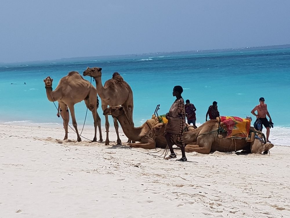 Photograph by Анастасия