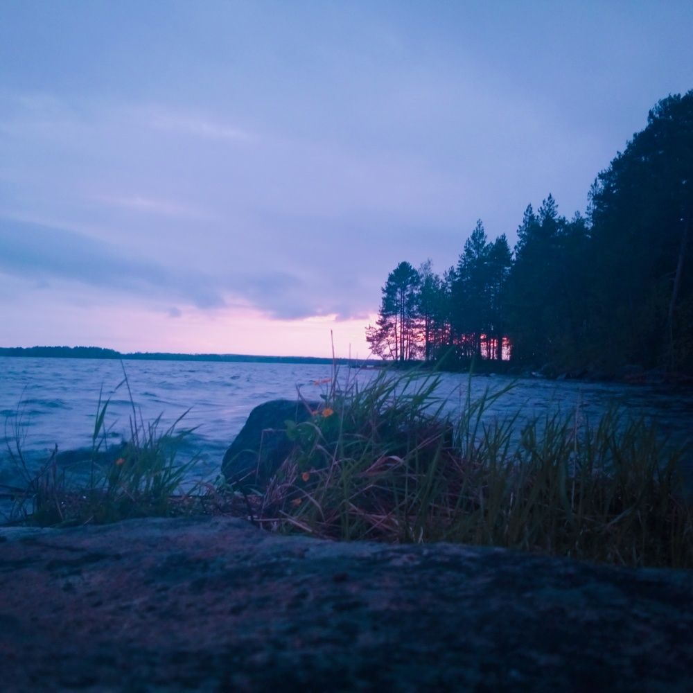 Photo #7644494