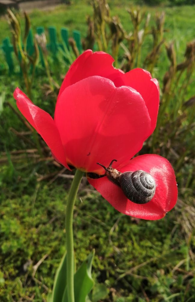 Photograph by Татьяна