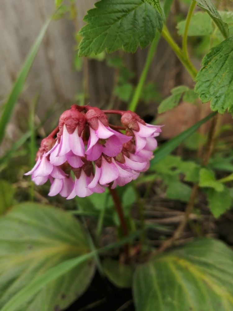 Photograph by Татьяна