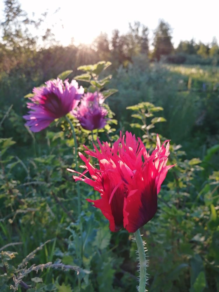 Photograph by Татьяна