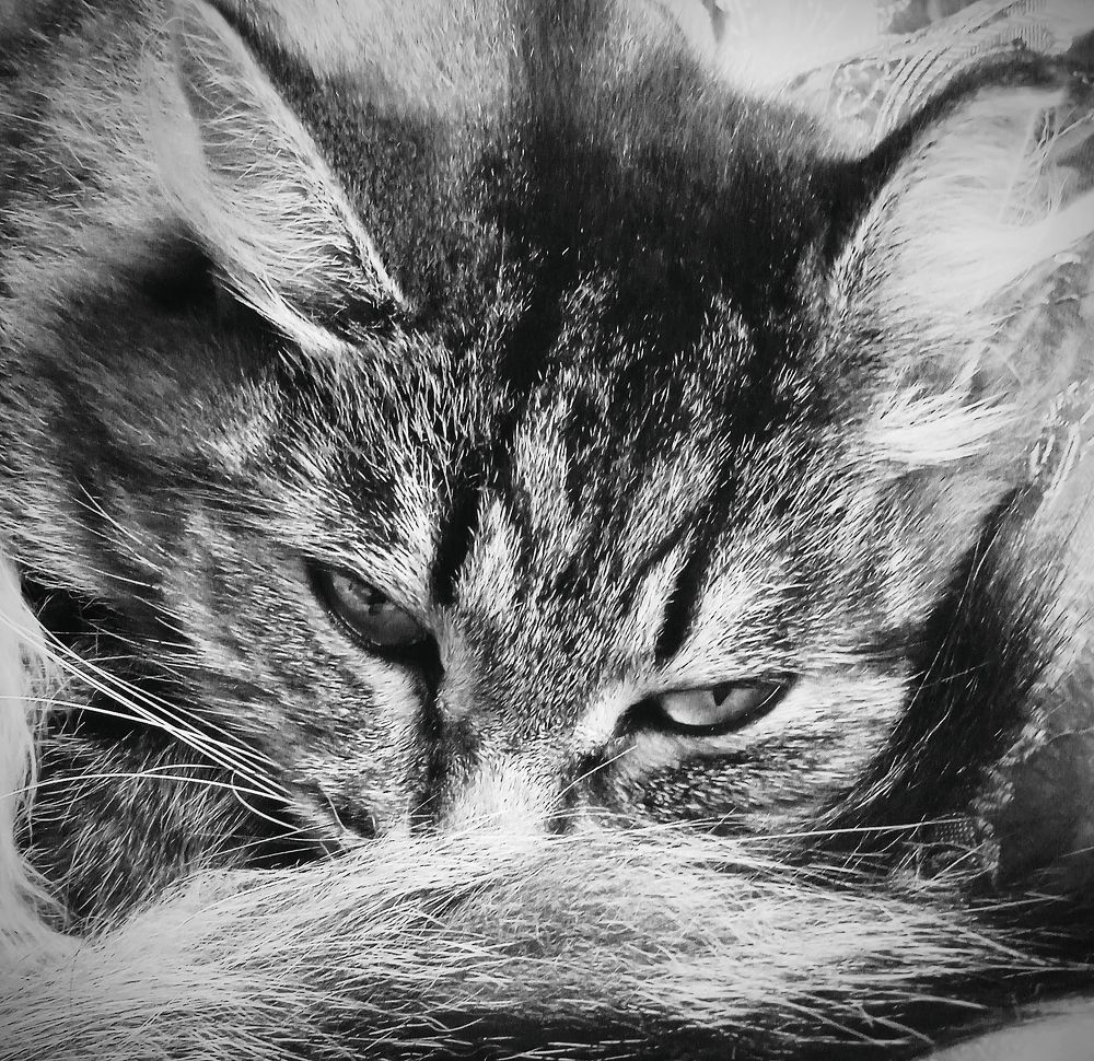 Photograph by Евсеева Валентина