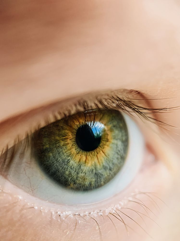 Photograph by Яна Полякова