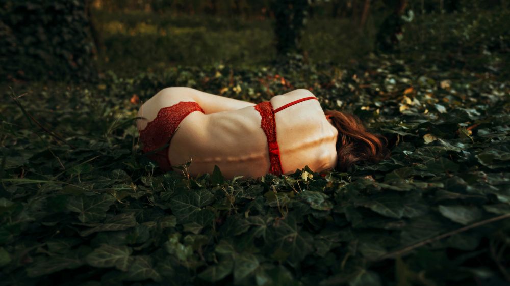 Фотография автора Сигал Георгий