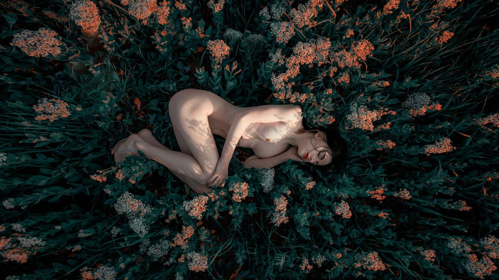 Фотография автора Сигал Георгий