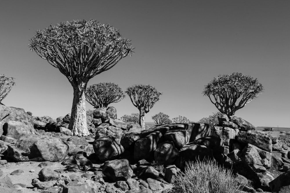 Photograph by Anatoly Serebrennikov