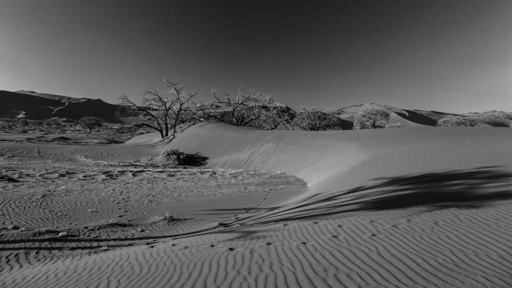 Photograph by Anatoly Serebrennikov