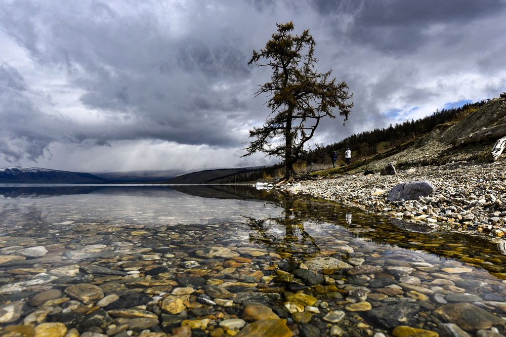 Photograph by Марина Корреа Ластра