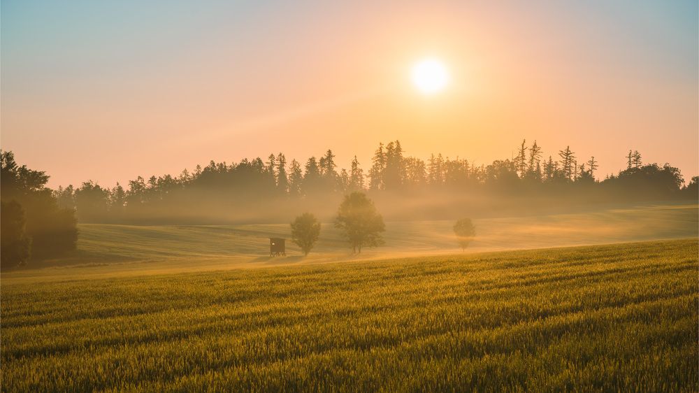 Photograph by Tomáš Jurník