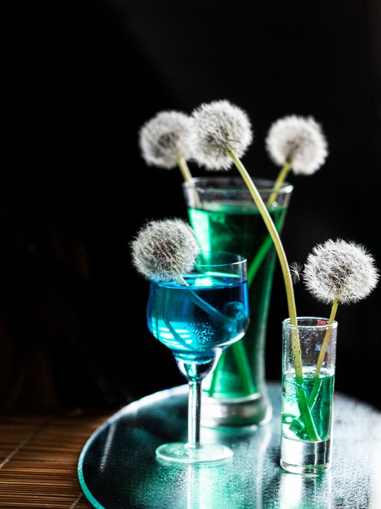 Photograph by ILONA KILA