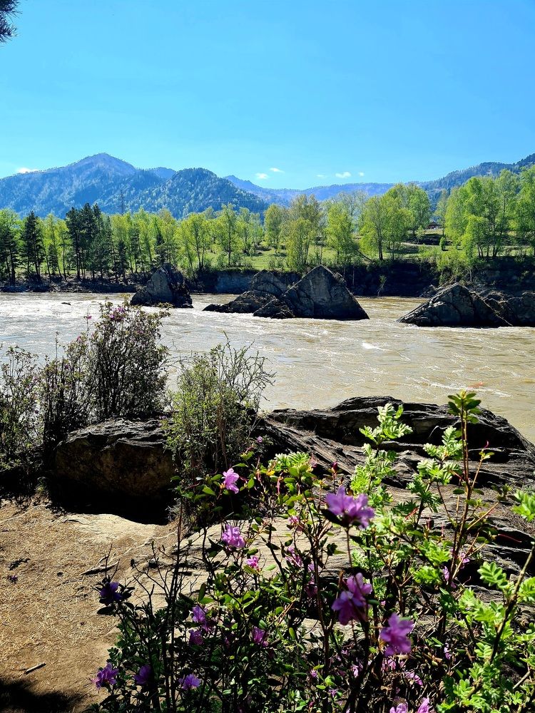 Photograph by Анастасия