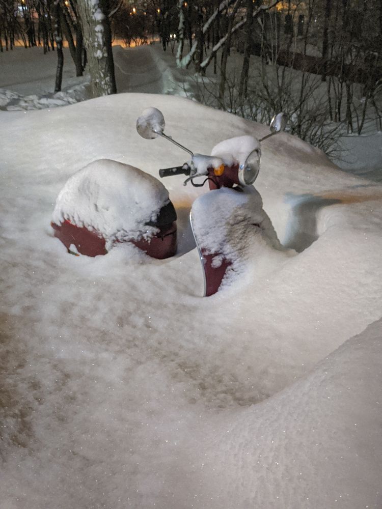 Photograph by Екатерина Рябинина