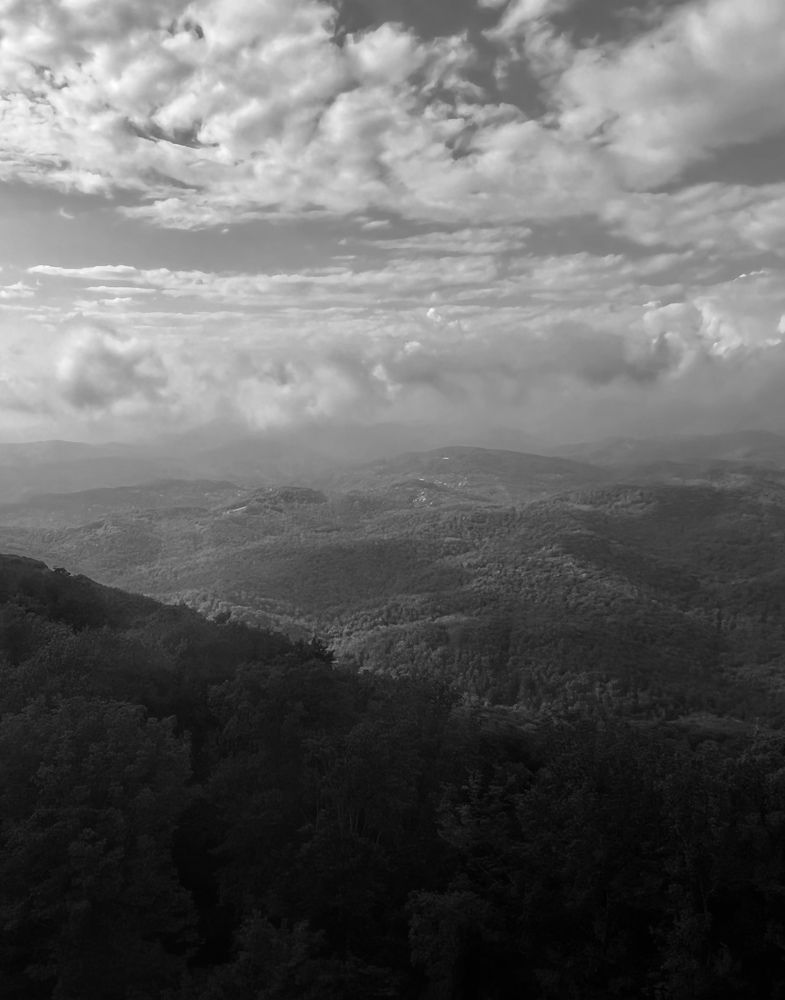 Photograph by Елена Мизина