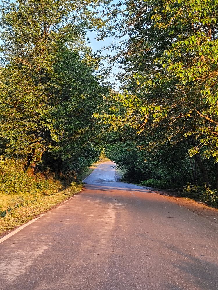 Photograph by najmeh hakimaei