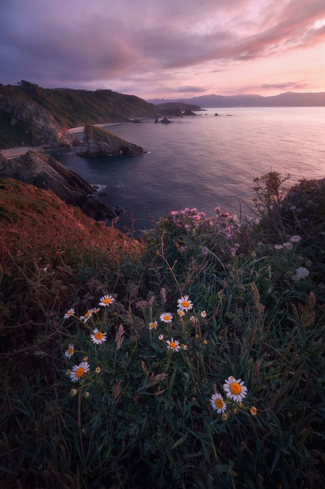 The Beauty of Imperfection