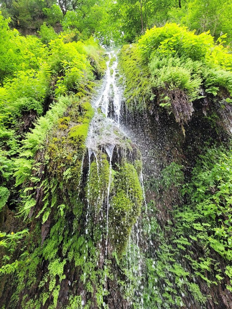 Photograph by najmeh hakimaei