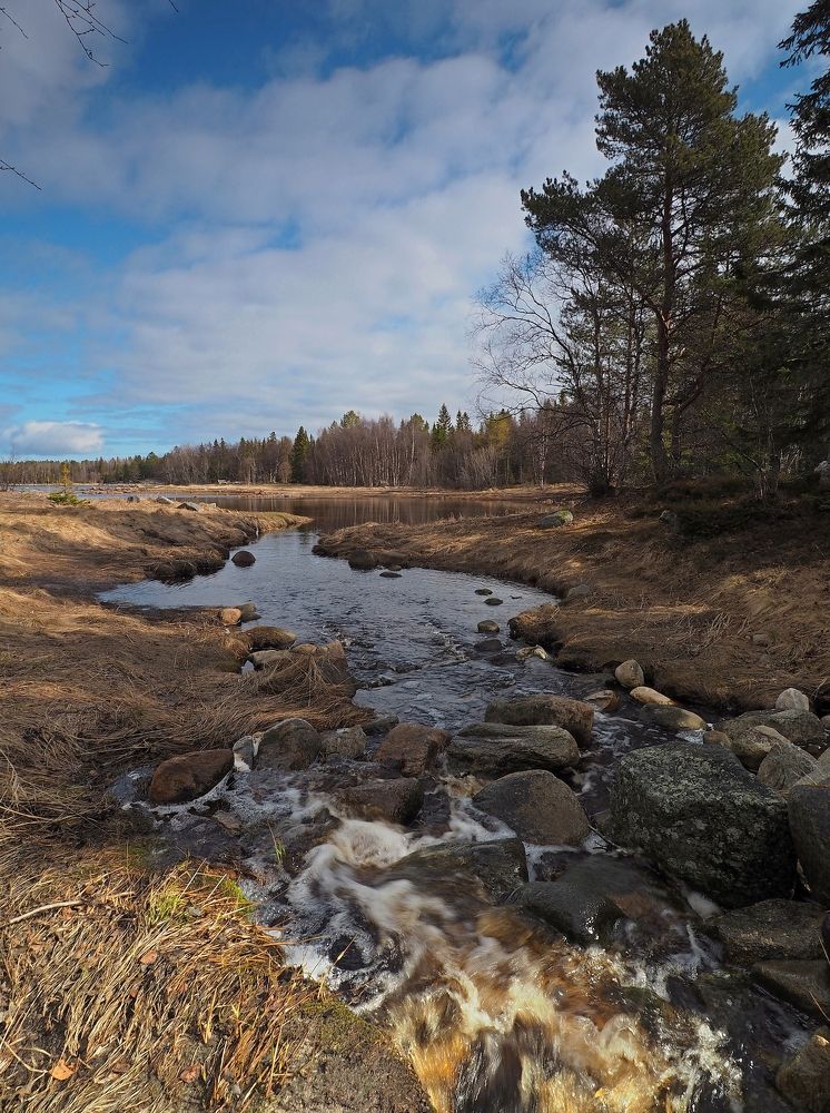 Photograph by Евгений Яковлев