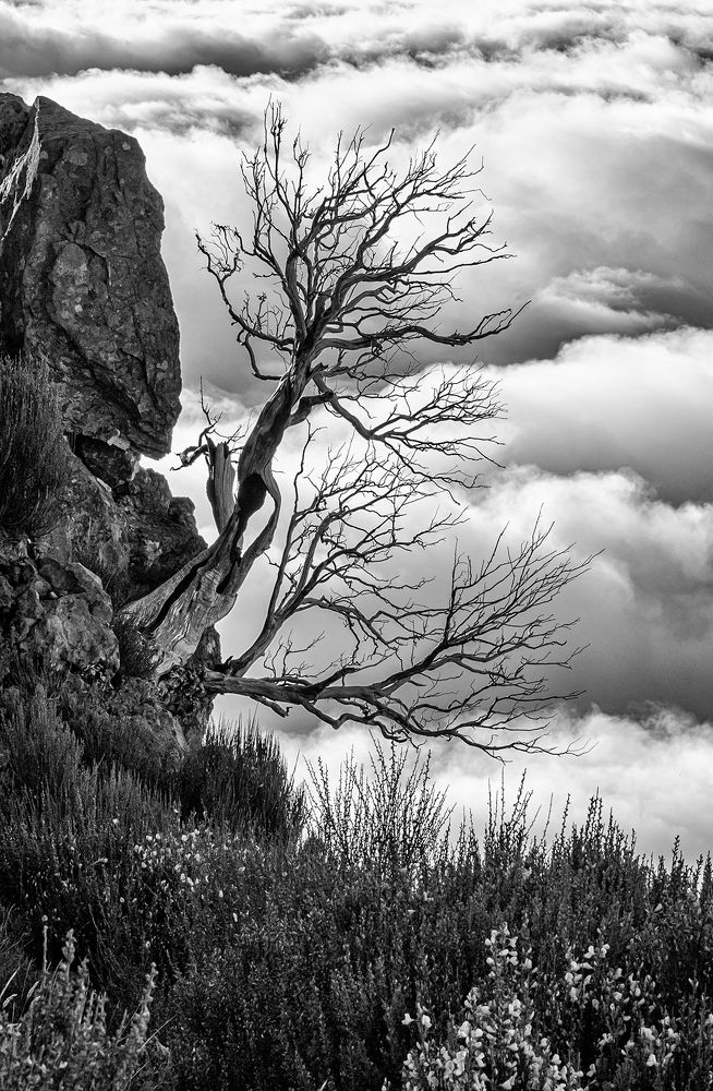 Заоблачное одиночество.