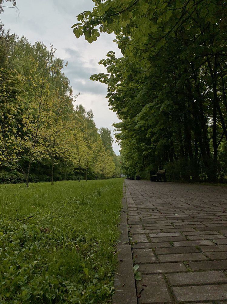 Photograph by Анастасия Слободская