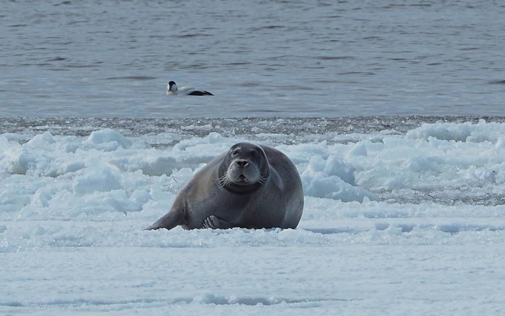 Photograph by Евгений Яковлев