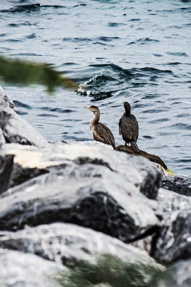 Фотография автора Анна Абрамова
