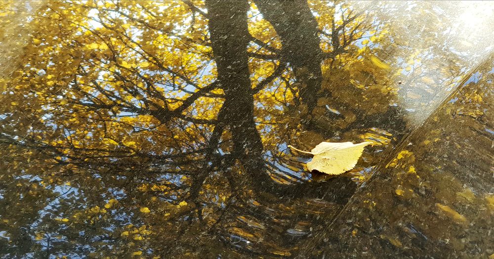 Photograph by Анастасия Богатова