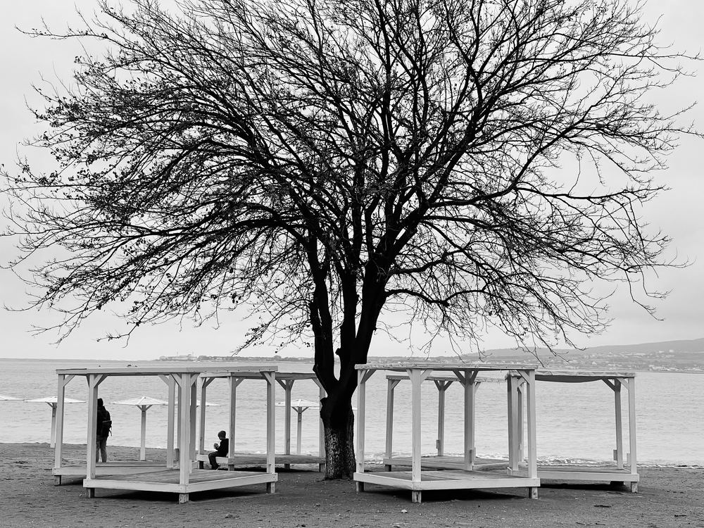 Photograph by Елизавета Осеева