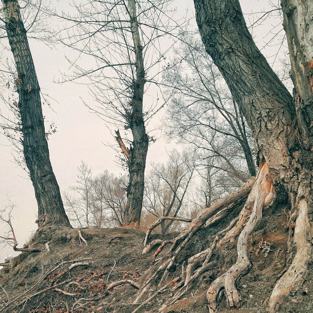 Photograph by Елена Леоненко