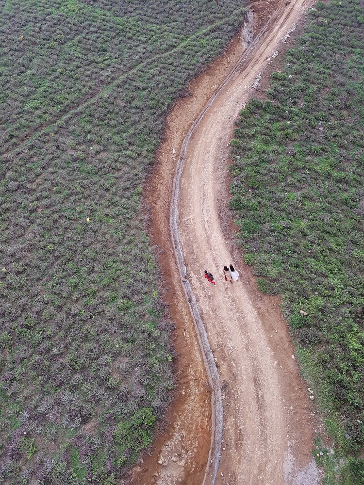 Photograph by Saugata Mandal