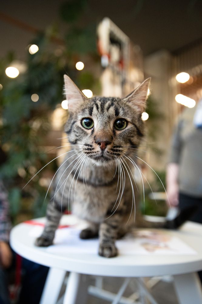 Photograph by Анна Берзина