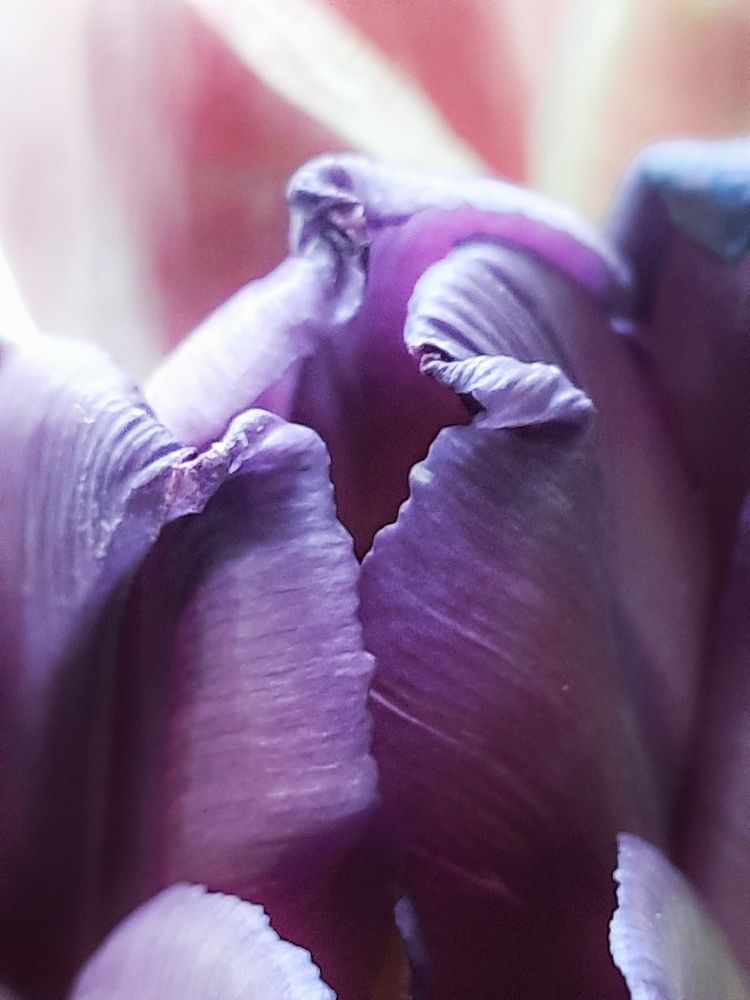 Photograph by Елена Леоненко