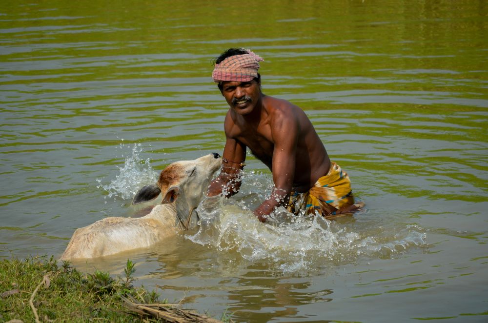 Photograph by Saugata Mandal