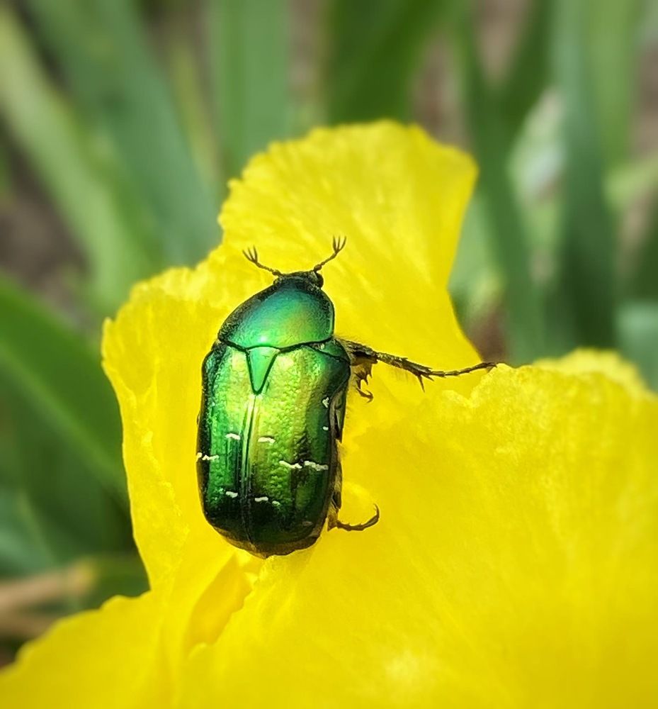 Photograph by Ольга Скиба