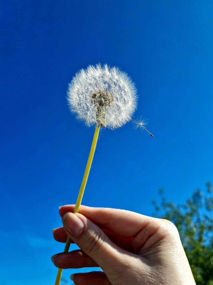 Photograph by Мария Шамина