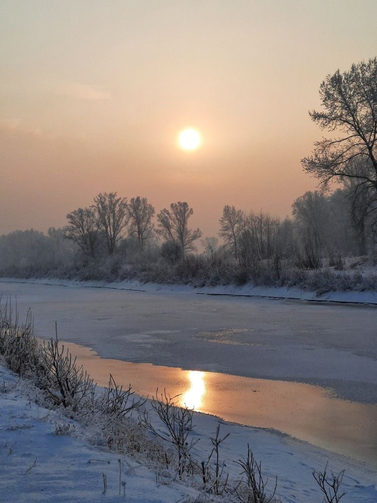 Photograph by Елена Леоненко