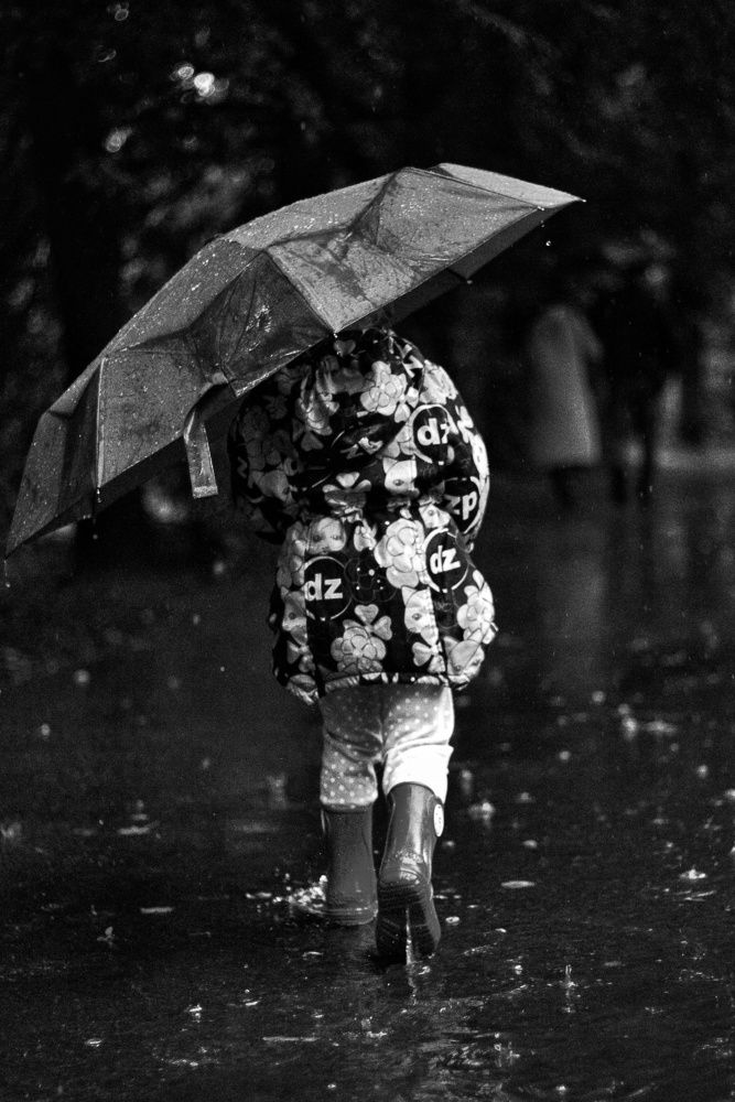 Фотография автора Татьяна Степанова