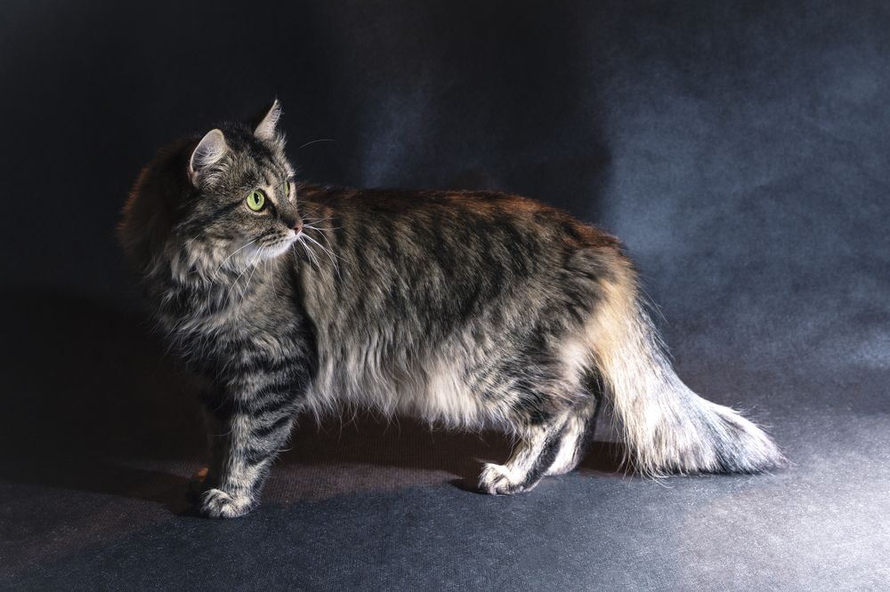 Photograph by Виктор Степанов