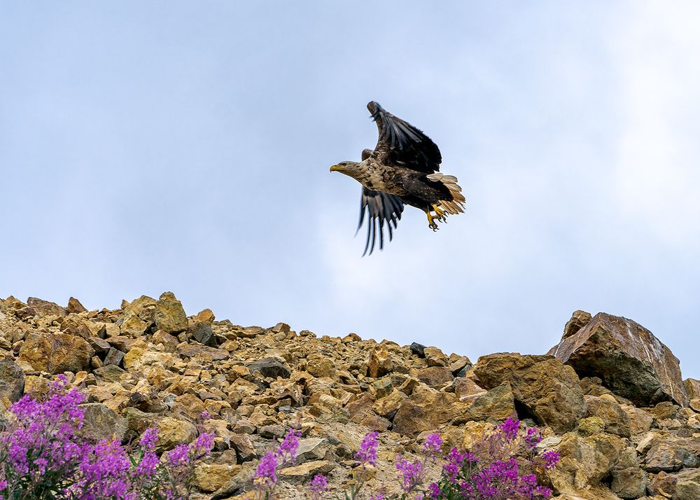 Photograph by Юрий Харченко