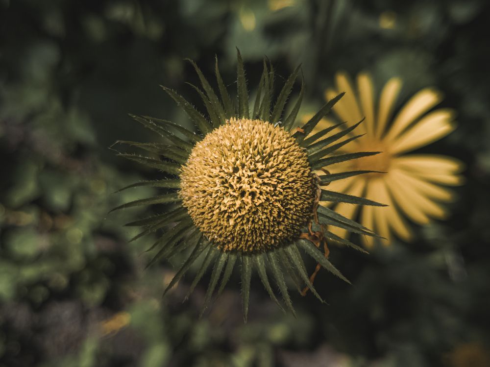 Photograph by Александр Безуглый