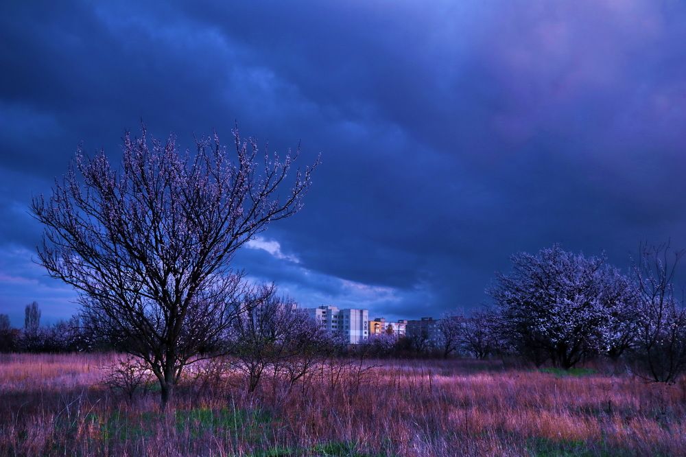 Весна в Черкассах.