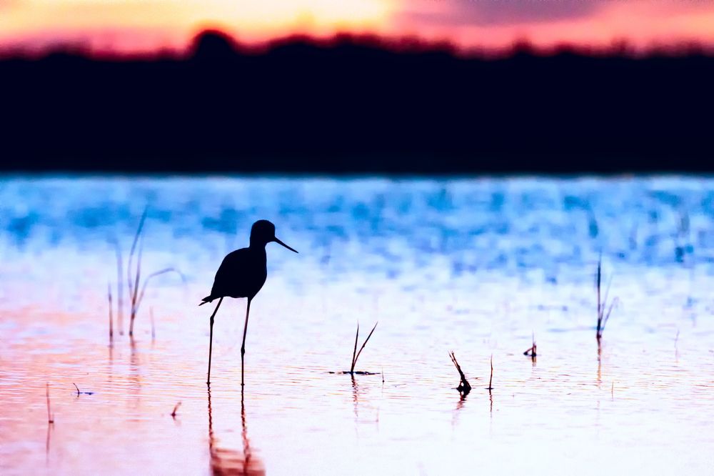 Photograph by Ivan Ukhov