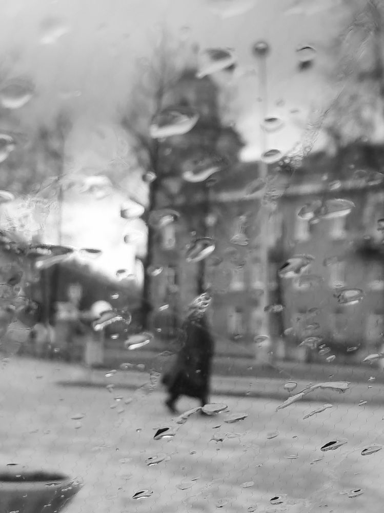 Photograph by Ольга