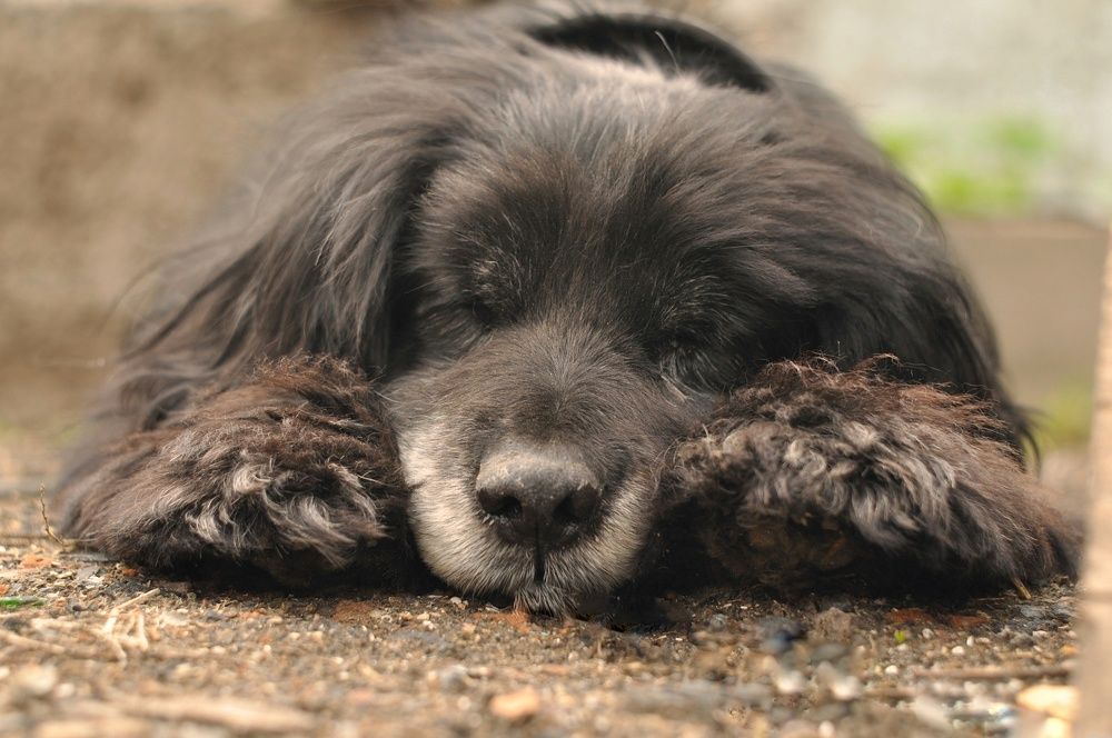 Photograph by Елена Леоненко