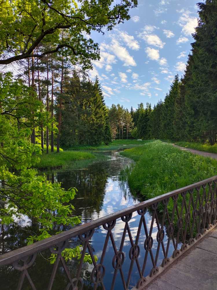 Photograph by Наталья Вялых