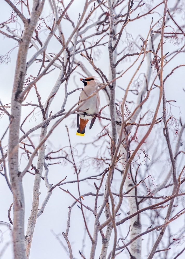 Photograph by Оксана Кузнецова