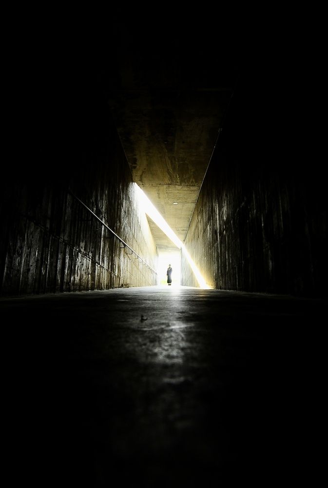 Photograph by Allen Wang